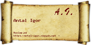 Antal Igor névjegykártya