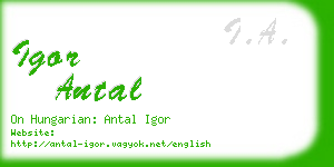 igor antal business card